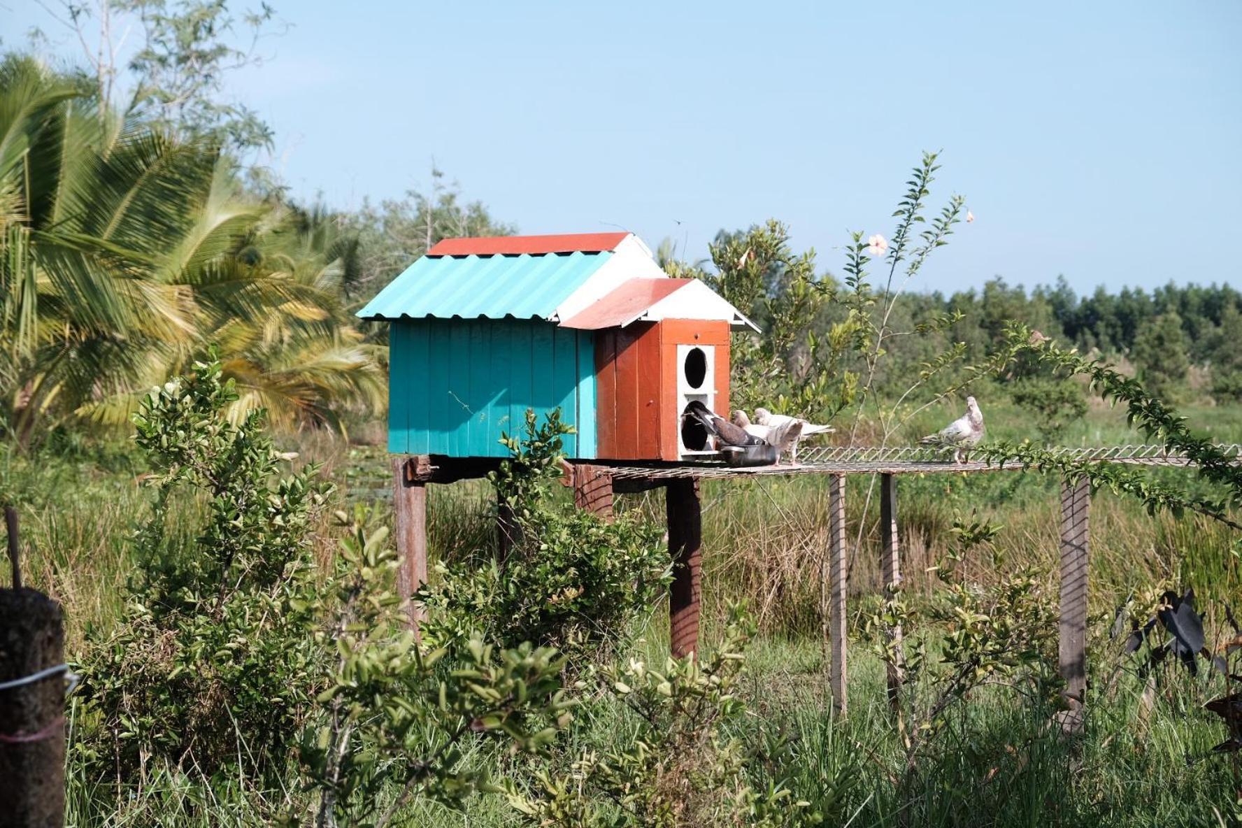 Bungalow - Farmstay Hoa Rung U Minh Ca Mau ภายนอก รูปภาพ